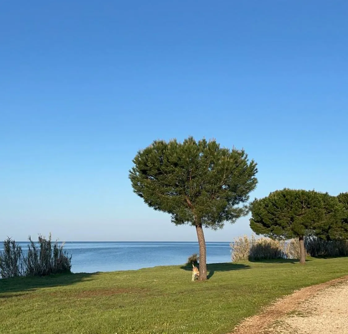 Villa Karigador, Umag- Karigador, Istria カリガドル