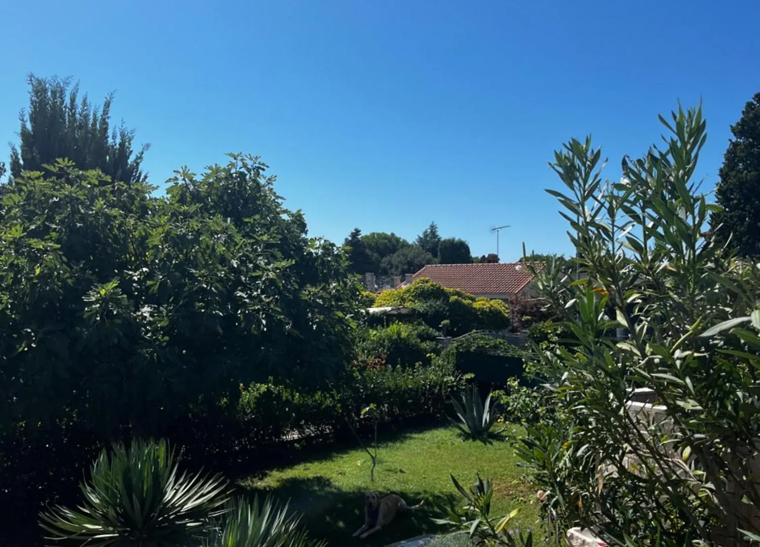Villa Karigador, Umag- Karigador, Istria